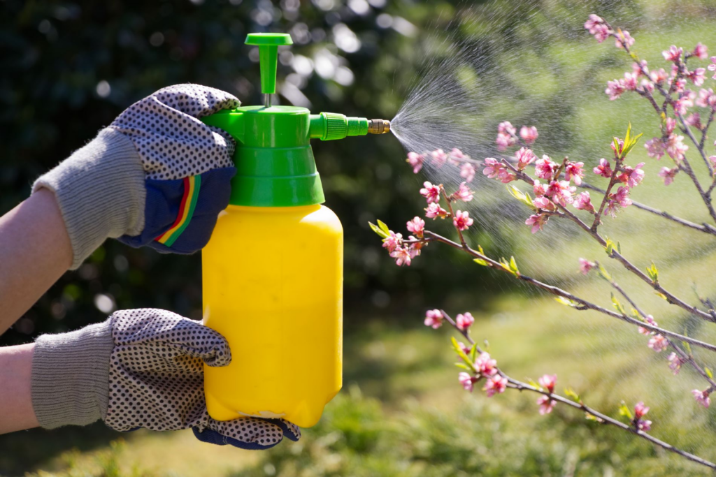 microorganismos en la agricultura : Aplicación Foliar