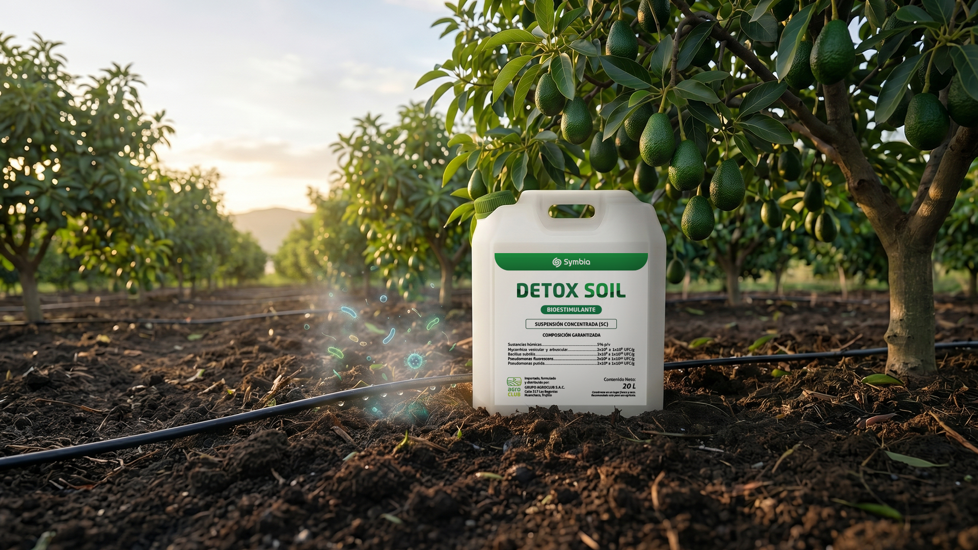 Solución biológica para la desintoxicación del suelo y mitigación de metales pesados en cultivos agrícolas.