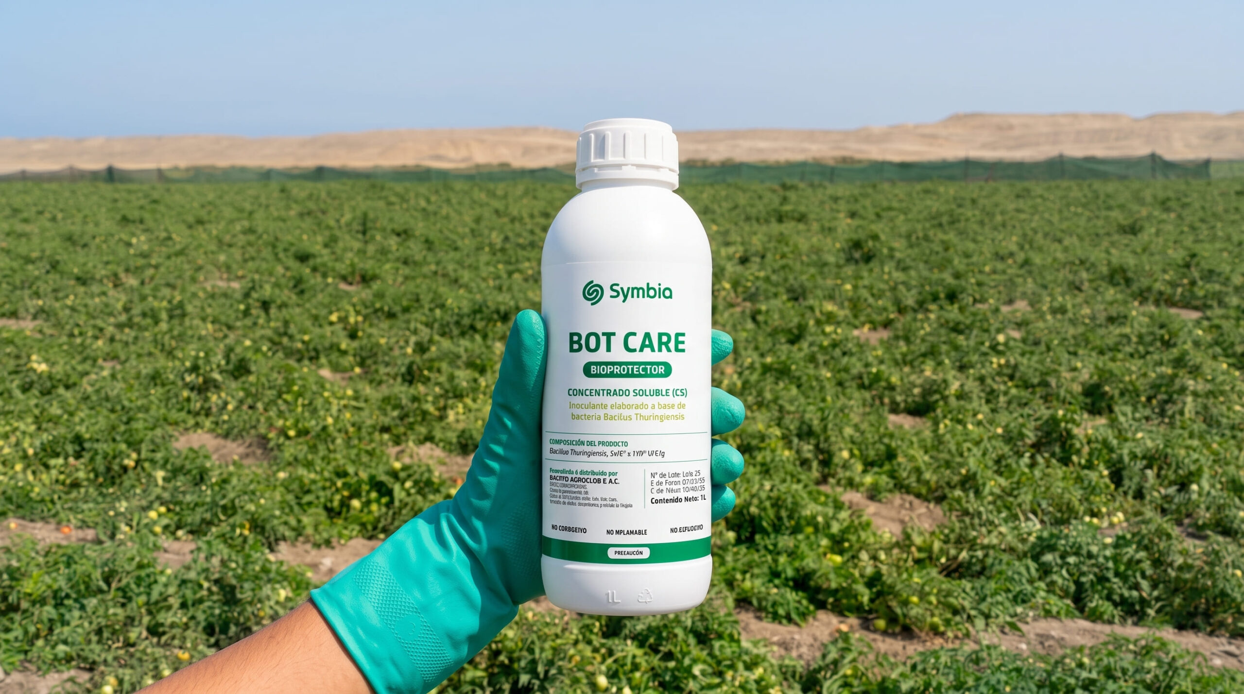 Bot Care de Symbia, bioprotector con Bacillus thuringiensis, en campo de tomate