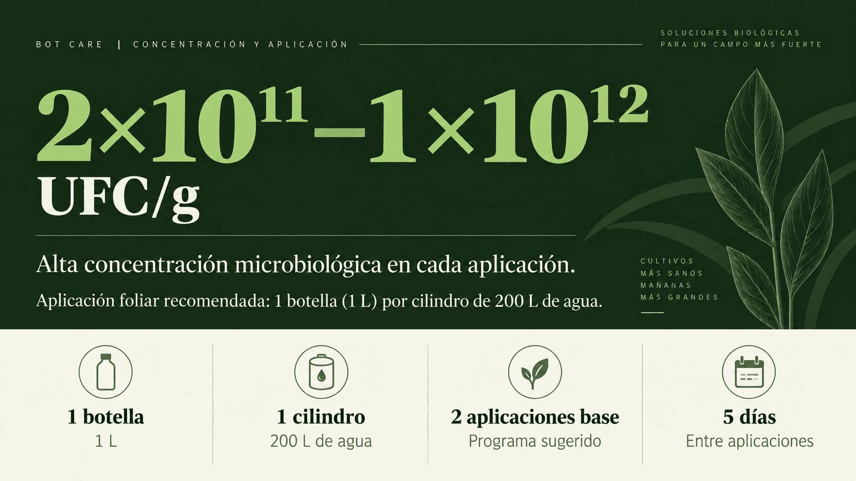 Concentración y aplicación de Bot Care con Bacillus thuringiensis para control biológico de larvas