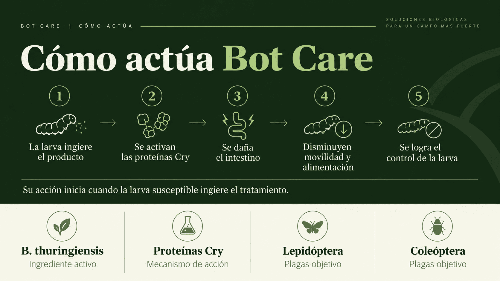Cómo actúa Bot Care con Bacillus thuringiensis para el control biológico de larvas